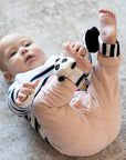 Sensory Ankle & Wrist Rattles