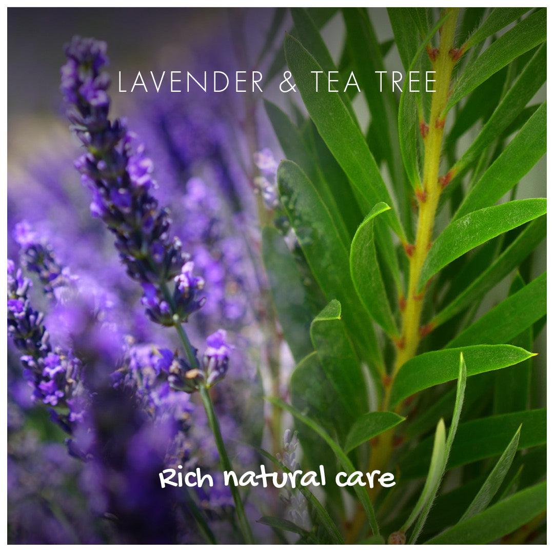 Shampoo Bar - Lavender &amp; Tea Tree