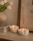 Seashell Shaped Candle - Scented