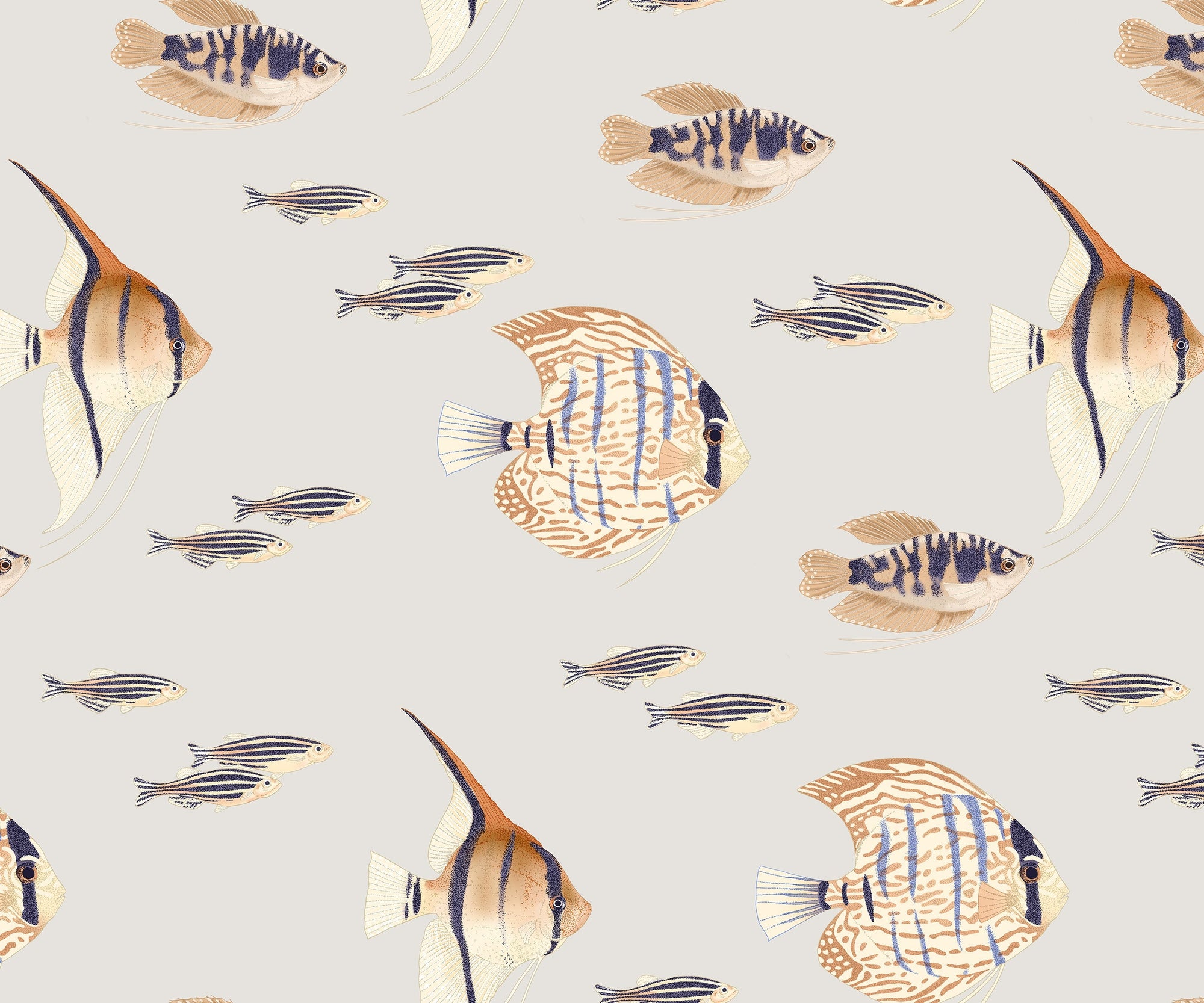 Shoal Fish Wallpaper