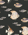 Shoal Fish Wallpaper