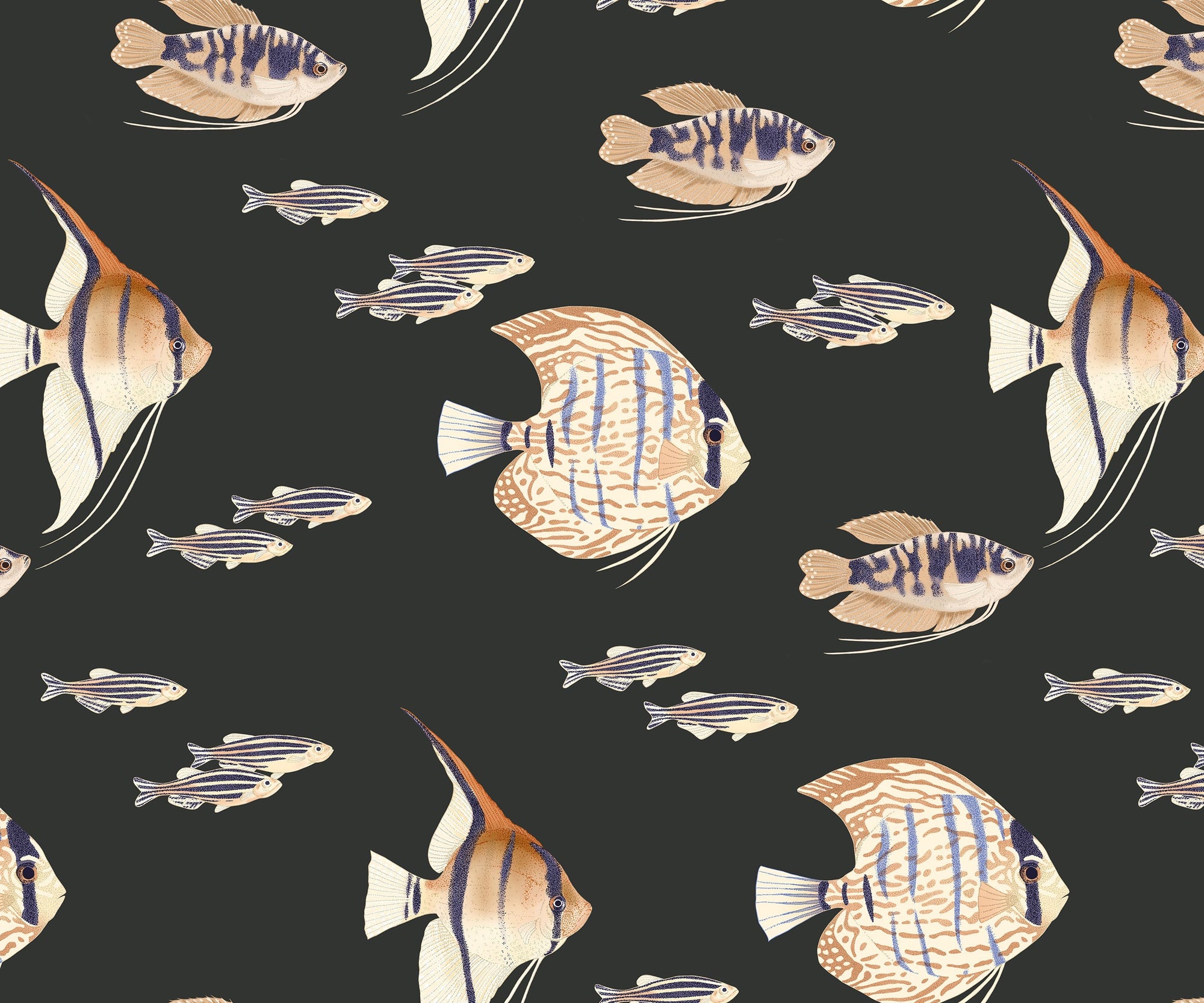 Shoal Fish Wallpaper