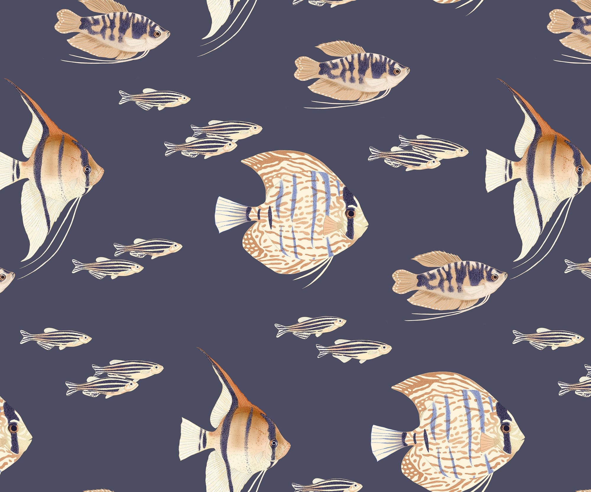 Shoal Fish Wallpaper