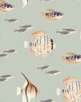 Shoal Fish Wallpaper