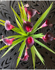 Silk Flower Arrangement Purple Calla Lilies - 15"