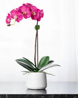 Silk orchid plant - pink phalaenopsis orchid in white pot - 21"