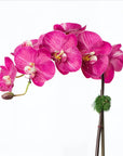 Silk orchid plant - pink phalaenopsis orchid in white pot - 21"