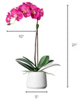 Silk orchid plant - pink phalaenopsis orchid in white pot - 21"