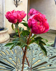 Silk Peony Flower Arrangement In Vase - 15"