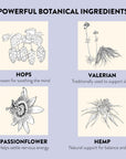 Sleep Time Patches