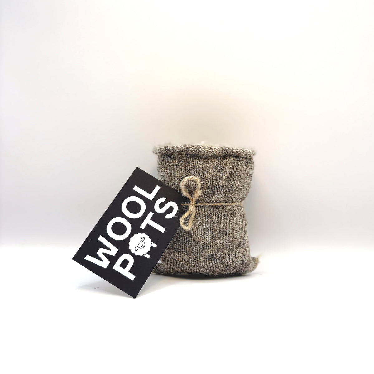 Biodegradable Pack Of 10 Small Wool Pots