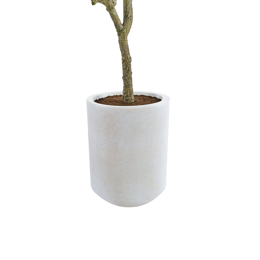 7ft Artificial Olive Tree with Planter