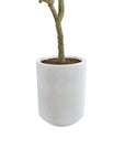 7ft Artificial Olive Tree with Planter