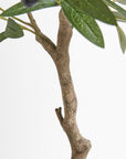Artificial Olive Topiary Tree with Mediterranean Pot