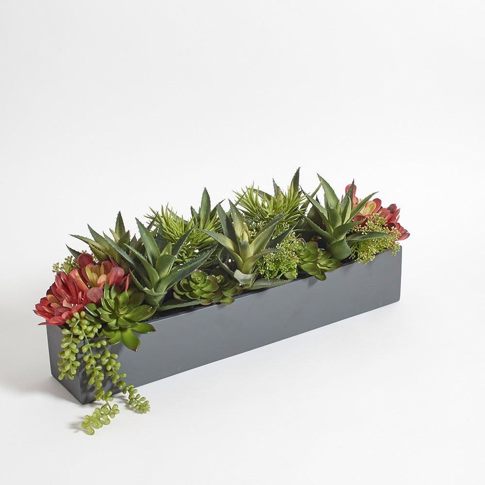 Mixed Artificial Succulent Arrangement
