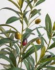 Artificial Olive Topiary Tree with Mediterranean Pot