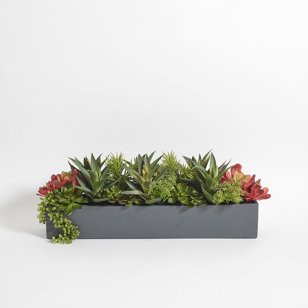 Mixed Artificial Succulent Arrangement