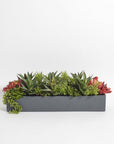 Mixed Artificial Succulent Arrangement