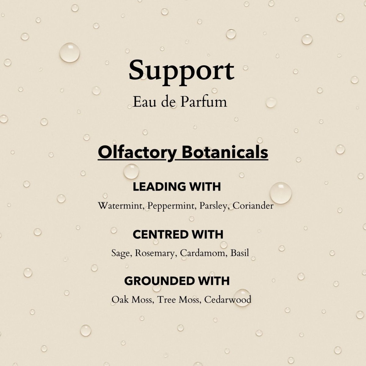 Support Eau de Parfum | Protective, herbaceous &amp; restorative