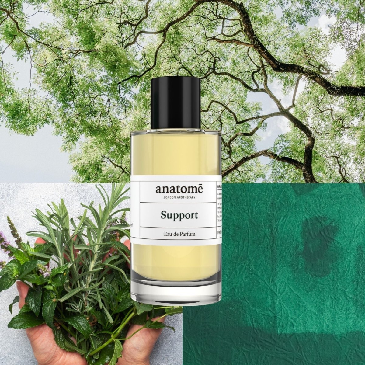 Support Eau de Parfum | Protective, herbaceous &amp; restorative
