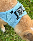 Tiny Trails Step In Air Mesh Puppy and Small Dog Harness Baby Blue