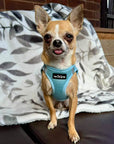 Tiny Trails Step In Air Mesh Puppy and Small Dog Harness Baby Blue