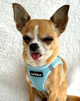 Tiny Trails Step In Air Mesh Puppy and Small Dog Harness Baby Blue