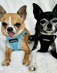 Tiny Trails Step In Air Mesh Puppy and Small Dog Harness Baby Blue