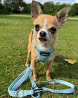 Tiny Trails Step In Air Mesh Puppy and Small Dog Harness Baby Blue