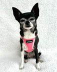 Tiny Trails Step In Air Mesh Puppy and Small Dog Harness Pink