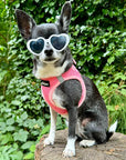 Tiny Trails Step In Air Mesh Puppy and Small Dog Harness Pink