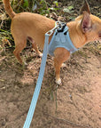 Tiny Trails Step In Air Mesh Puppy and Small Dog Harness Baby Blue