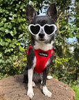 Tiny Trails Step In Air Mesh Puppy and Small Dog Harness Red