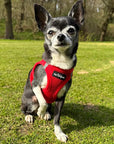 Tiny Trails Step In Air Mesh Puppy and Small Dog Harness Red