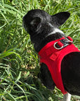 Tiny Trails Step In Air Mesh Puppy and Small Dog Harness Red
