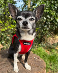 Tiny Trails Step In Air Mesh Puppy and Small Dog Harness Red
