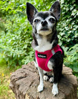 Tiny Trails Step In Air Mesh Puppy and Small Dog Harness Hot Pink