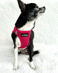 Tiny Trails Step In Air Mesh Puppy and Small Dog Harness Hot Pink