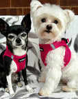 Tiny Trails Step In Air Mesh Puppy and Small Dog Harness Hot Pink