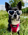 Tiny Trails Step In Air Mesh Puppy and Small Dog Harness Hot Pink