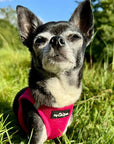 Tiny Trails Step In Air Mesh Puppy and Small Dog Harness Hot Pink