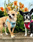 Tiny Trails Step In Air Mesh Puppy and Small Dog Harness Hot Pink