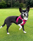 Tiny Trails Step In Air Mesh Puppy and Small Dog Harness Hot Pink