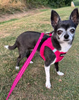 Tiny Trails Step In Air Mesh Puppy and Small Dog Harness Hot Pink