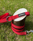 Tiny Trails Step In Air Mesh Puppy and Small Dog Harness Red