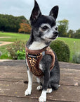 Tiny Trails Step In Luxury Leopard Fur Lined Puppy and Small Dog Harness