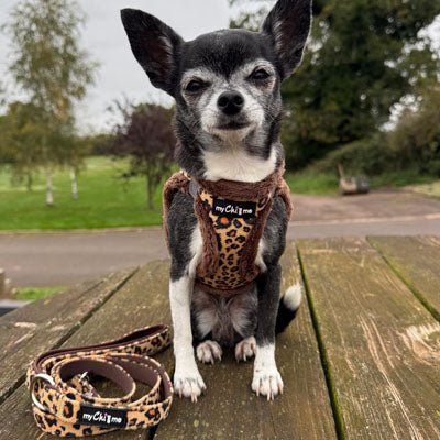 Tiny Trails Step In Luxury Leopard Fur Lined Puppy and Small Dog Harness