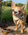 Tiny Trails Step In Soft Touch Suede Effect Faux Fur Lined Puppy and Small Dog Harness Mocha