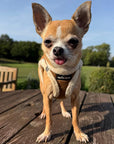 Tiny Trails Step In Soft Touch Suede Effect Faux Fur Lined Puppy and Small Dog Harness Mocha