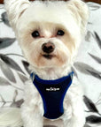 Tiny Trails Step In Air Mesh Puppy and Small Dog Harness Navy
